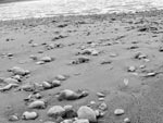Sandstrand an der Donau Sandstrand an der Donau